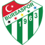 Bursaspor logosu