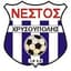 Nestos Chrisoupolis logosu