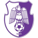 Arges Pitesti logosu